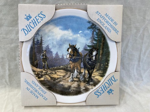 Shire horse decorative wall - shire,