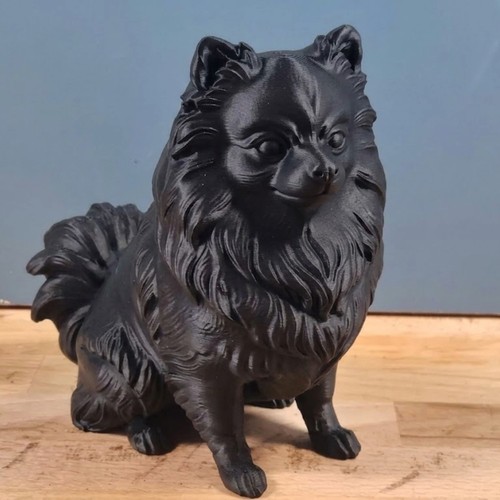 Pomeranian spitz dog - statue,