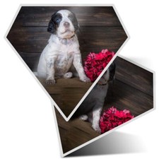 2x Diamond Shape Vinyl