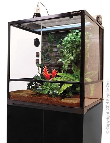 Glass terrarium 45cm 180cm - glass,