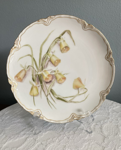 Limoges france porcelain - limoges,