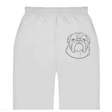 'English Bulldog Portrait'