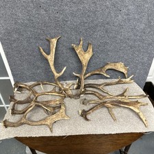 Mixed Fallow Antler Dog Chew