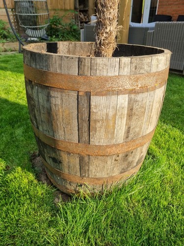 Genuine oak half whisky - genuine,