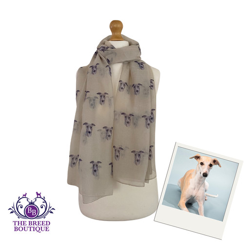 Whippet greyhound scarf ladies - whippet,