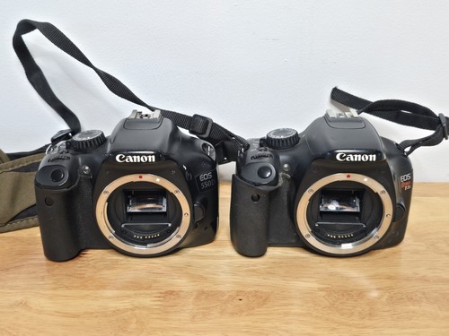 Canon eos 550d - and, t2i