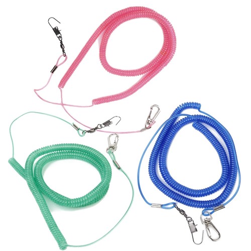 Bird flying traning - flying, rope