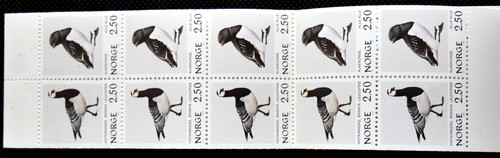 Birds barnacle goose little - birds,