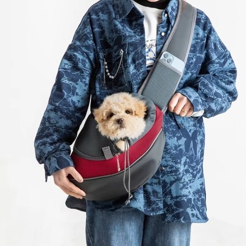 Pet puppy dog - puppy, carry