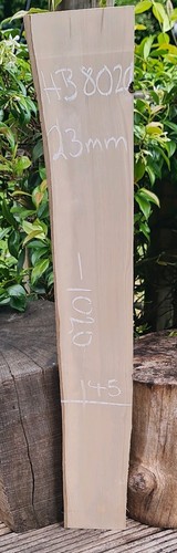 Hornbeam live edge slab - live,
