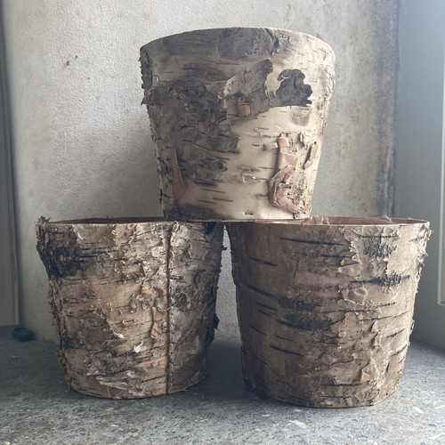 Rustic natural silver - rustic,