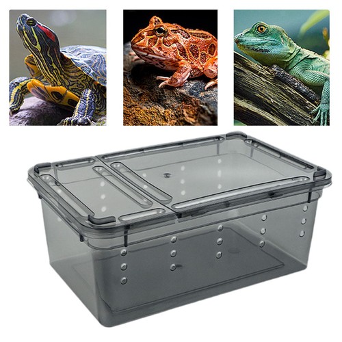 Reptile feeding box - box, small