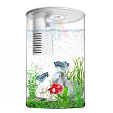 Desktop Fish Tank 3 Gallon