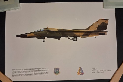 Original print 111f aardvark - print, f-111f