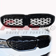 Front Kidney Grill Grille for