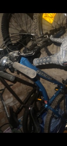 Blue specialised hardtail
