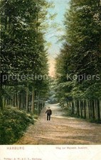 Harburg Hamburg Way to Majesty