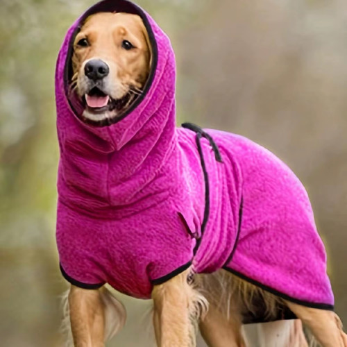 Generic dog winter - generic, for