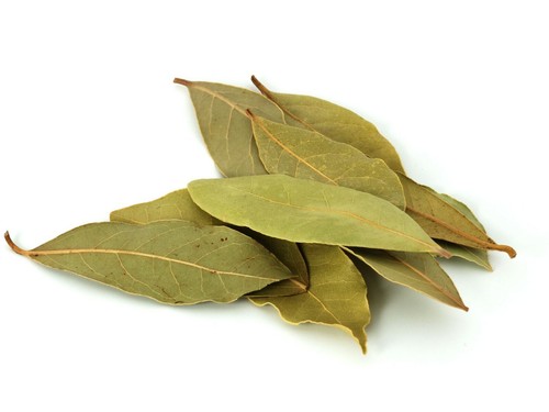 Bay leaves tej - leaves,