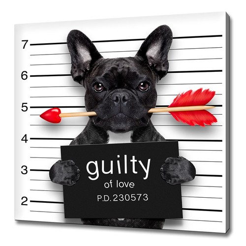 French bulldog dog with - dog, an