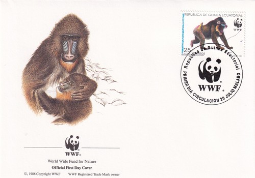 Mandrill wwf equatorial guinea - mandrill,