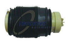 Rear left air spring - left,