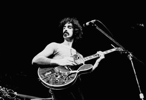 Frank zappa performing live - performing,