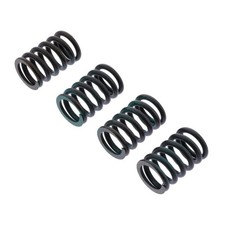 Kit 4 Clutch Springs TRW For