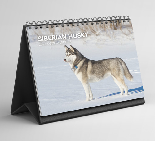 Siberian husky desk - desk, calendar