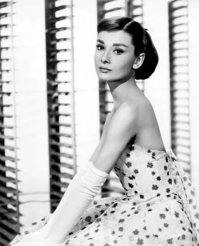 Audrey hepburn actress canvas - audrey,