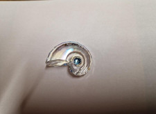 Swarovski Crystal  SCS