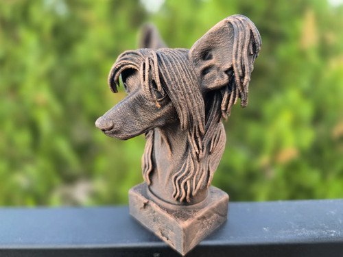 Chinese crested bust - crested,