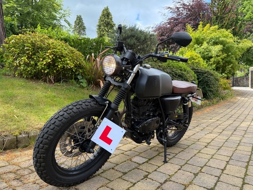 Mutt akita 125 - mutt, (2021)