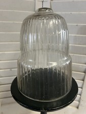 Vintage glass cloche bell jar