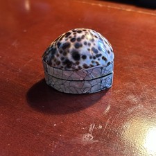 Vintage Tiger Cowrie & Abalone