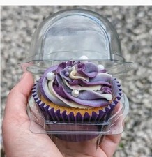 100 Hinged Plastic Dome