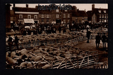 Thame - Sheep Market - printed