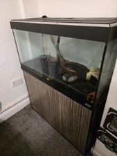 Fluval Roma 200 Aquarium and