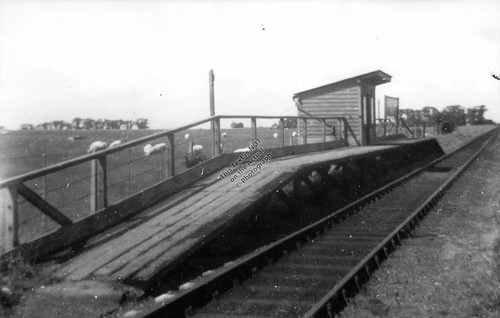 1950 harty road halt train - road,