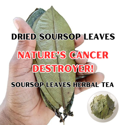 Dried soursop leaves annona - dried,