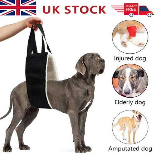 Large dog mobility aids - dog,