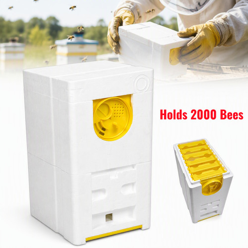 Queen bee breeding box - breeding,