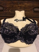 Bnwt m&co lace mesh frilly