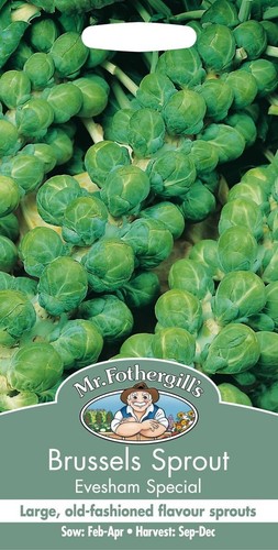 Fothergills brussels sprout - mr,