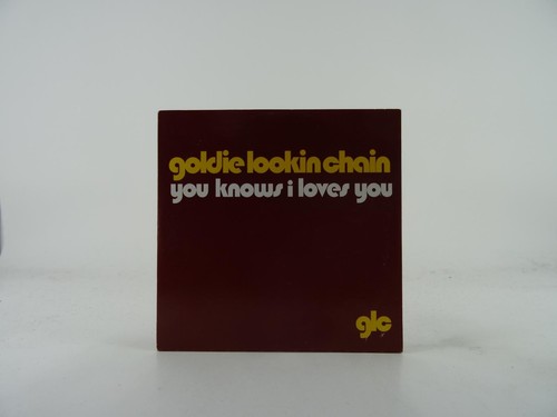 Goldie lookin chain you - lookin, knows
