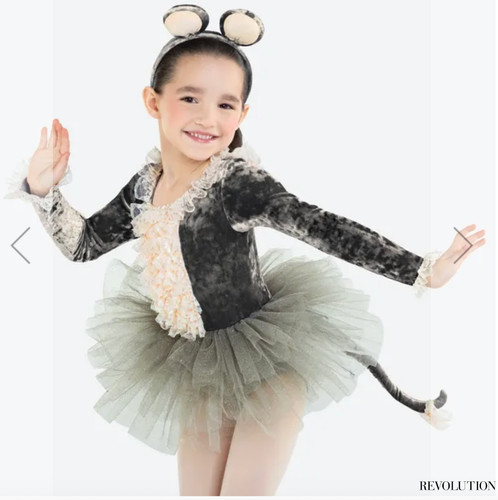 Dance school group - group, costumes