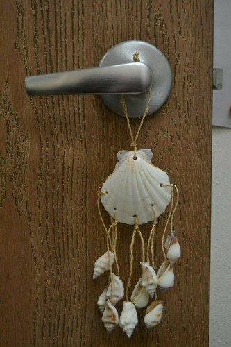 White irish sea - irish, shell