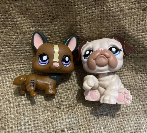 Littlest pet shop - shop, genuine