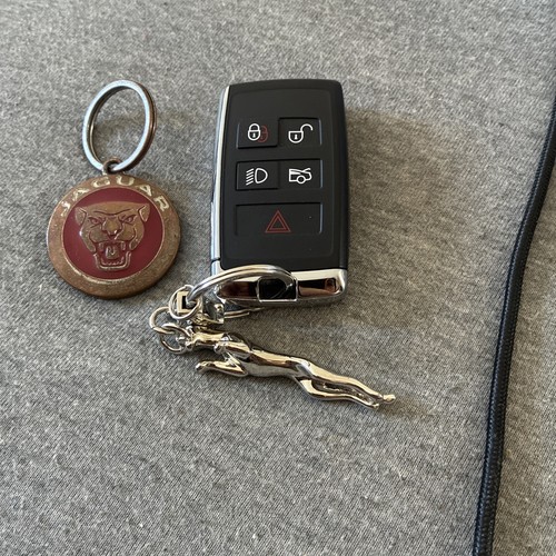 Genuine jaguar pace - genuine, e