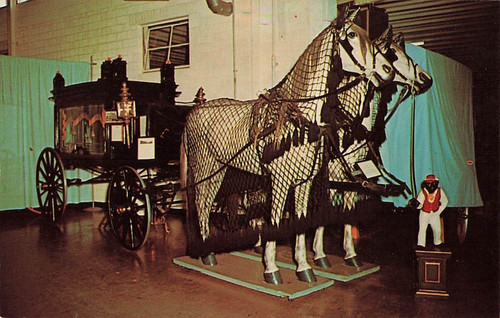 Postcard minden horse - minden,, ne: